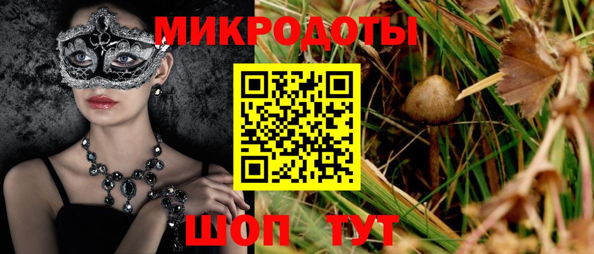 Псилоцибиновые грибы прущие грибы Моздок
